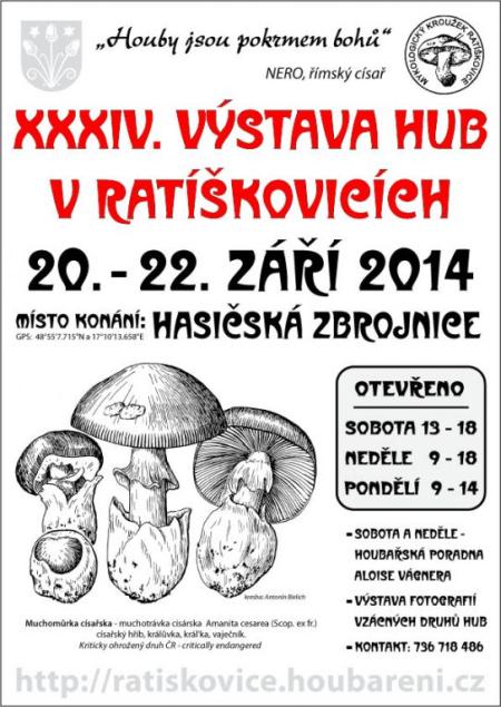 výstava hub