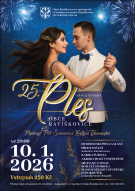 Společenský ples 1